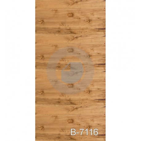 Fondo estudio B-7116