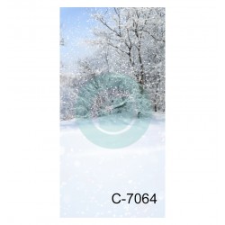 Fondo estudio C-7064