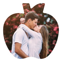 Imán Forex Manzana 14406