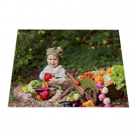 Puzzle personalizado 1000 piezas 15058