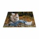 Puzzle 9 piezas 15310