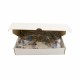 Puzzle 2000 piezas 15059