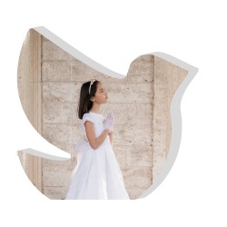 Figura Paloma Forex 12235
