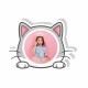 Figura Gato Forex 12233