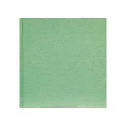 Álbum Predigital 5008 Verde