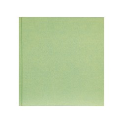 Álbum Predigital 5009 Pistacho