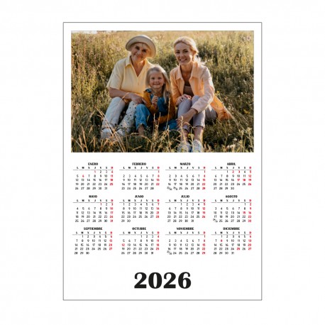 CALENDARIO N1001-11 AÑO 2026