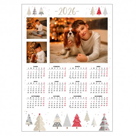 CALENDARIO N1001-19 AÑO 2026