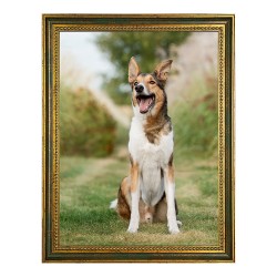 Marco Madera Pared 1366