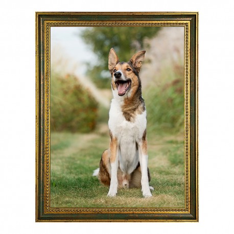 Marco Madera Pared 1366