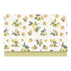 Carpeta Fotos CP67 15x20