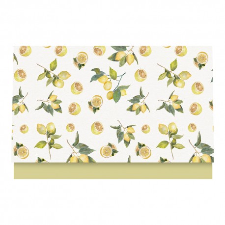 Carpeta Fotos CP67 15x20