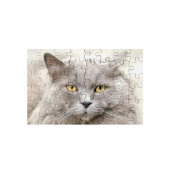 Puzzle 48 piezas 15386