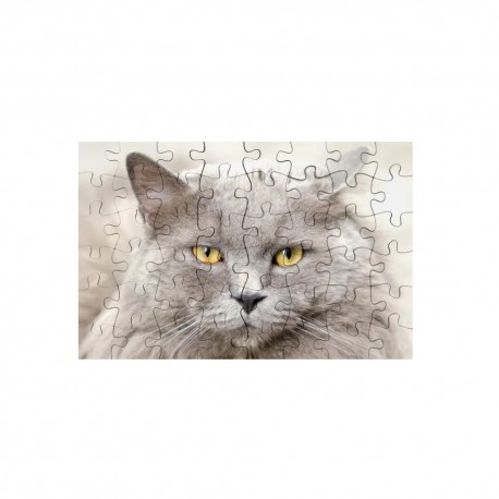 Puzzle 48 piezas 15386