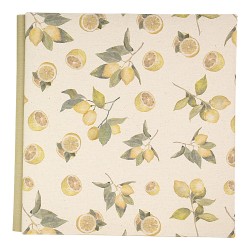 Álbum Digital Estaciones D Tapa 1 Material