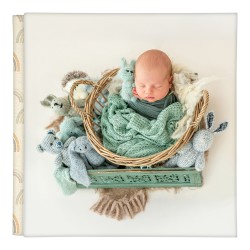 Álbum Digital Cartoon E Fotoportada