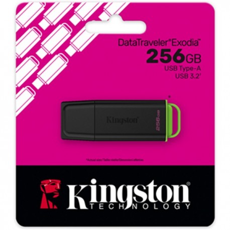 Usb Kingston Z812 256 GB 3.2