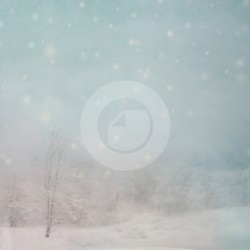 Fondo Estudio 7011