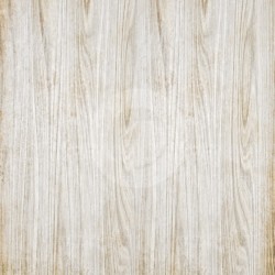 Fondo estudio 7014