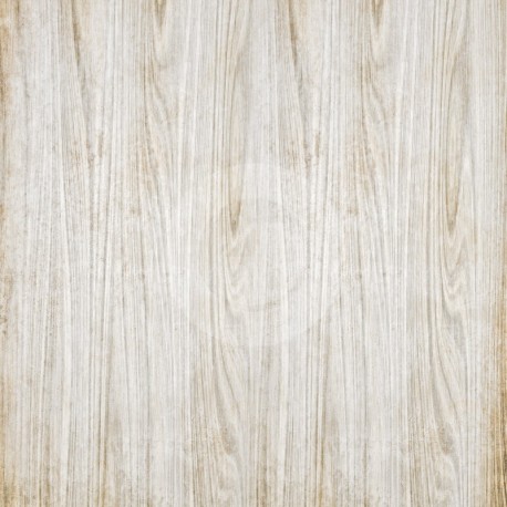 Fondo estudio 7014