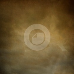 Fondo estudio 7024
