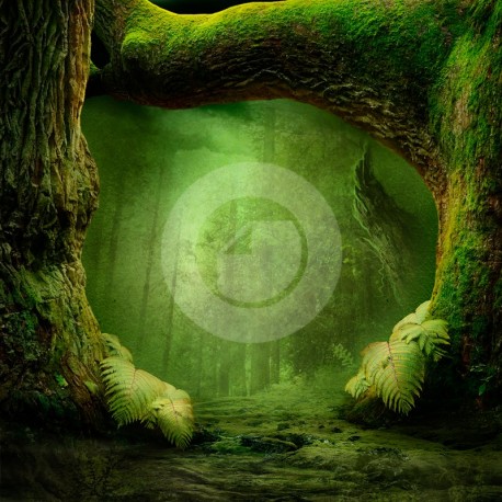 Fondo estudio 7096