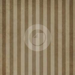 Fondo estudio  7018