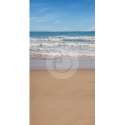 Fondo estudio 7036