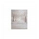 Fondo estudio Mod. A7033