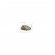  Piedra 1342