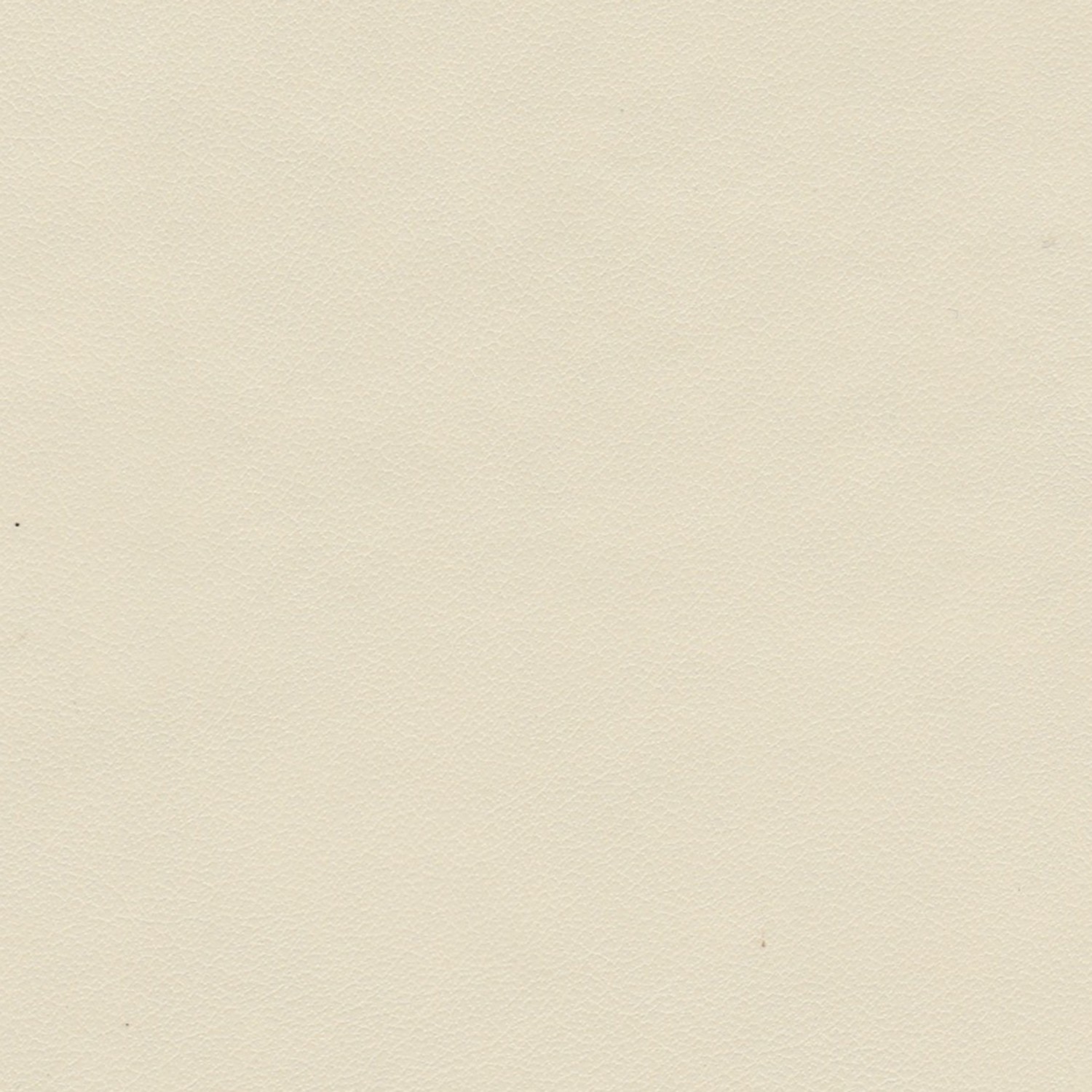 NEW BEIGE